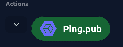 Explorer ping.pub button